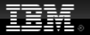IBM Developer works logo